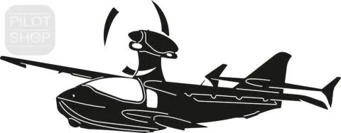 Flywhale