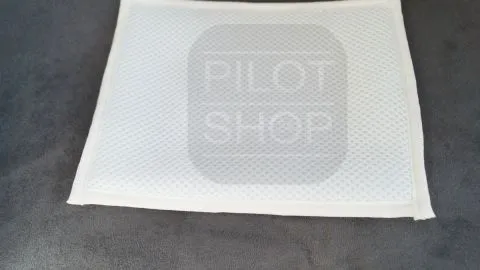 Fliegenschwamm